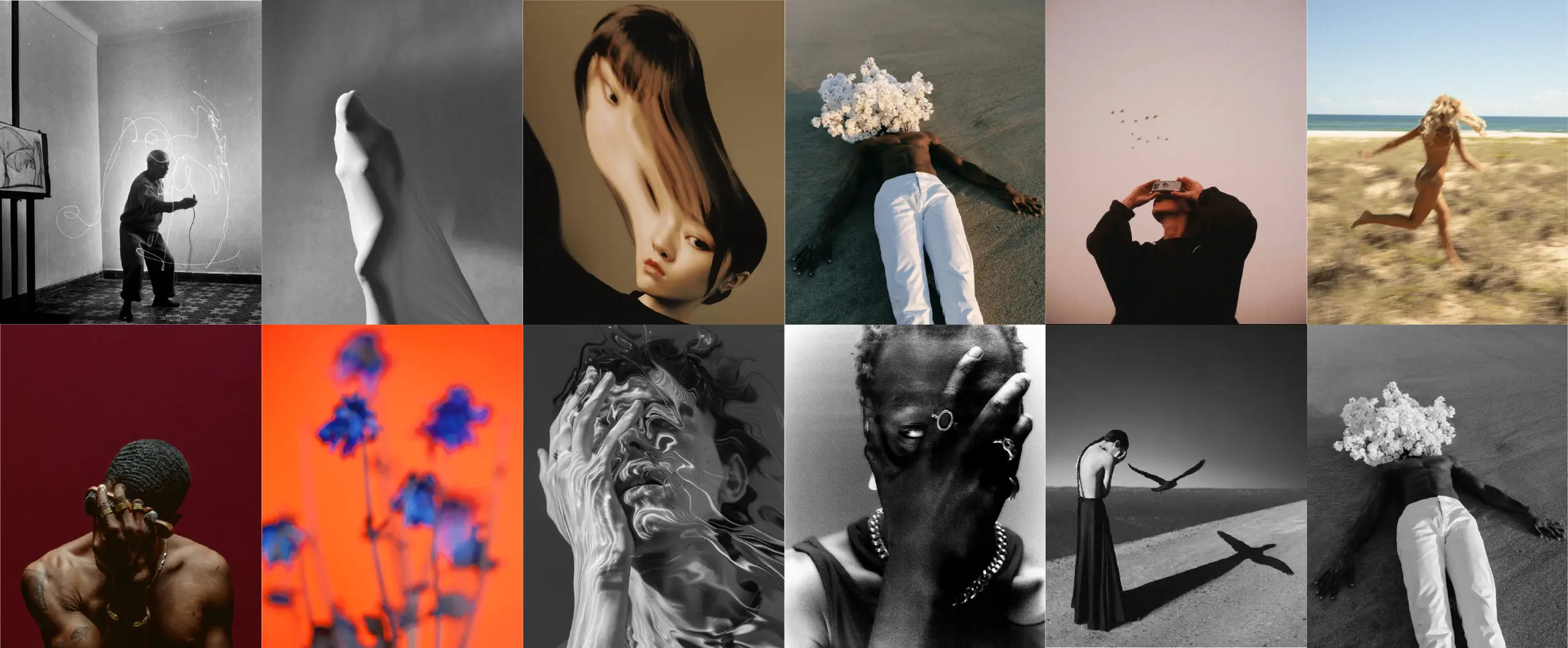 Material fotográfico de Disonante